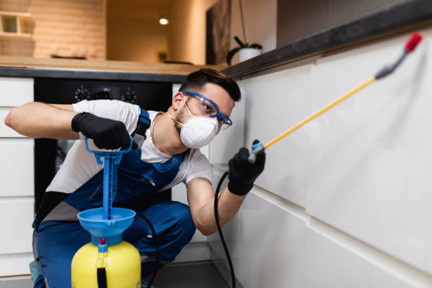 Reliable Anderson, IN Pest Control Solutions