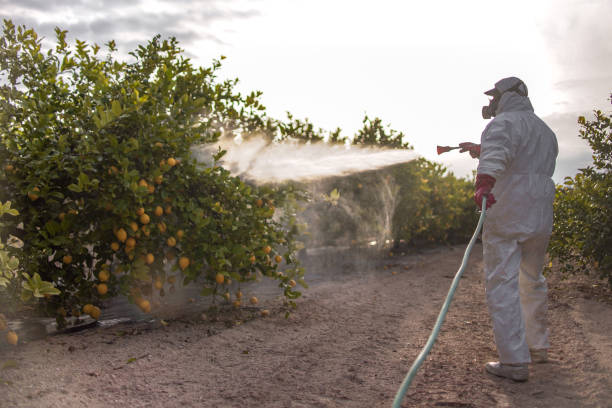 Best Bed Bug Extermination  in Anderson, IN